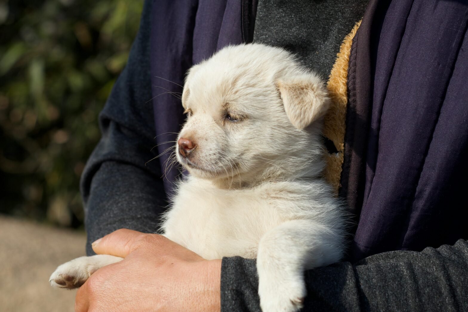 Grooming Mistakes to Avoid in Winter