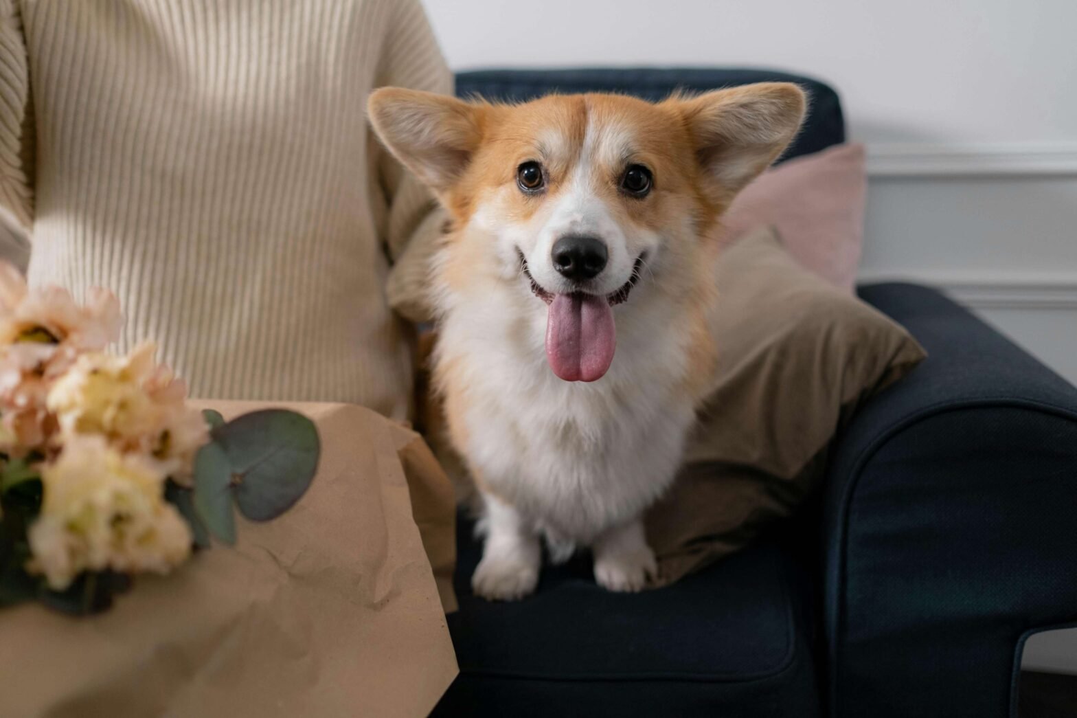Spring Puppy Care Guide: Everything New Pet Parents Need to Know